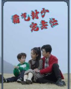 霸气封少宠妻忙第21-40集