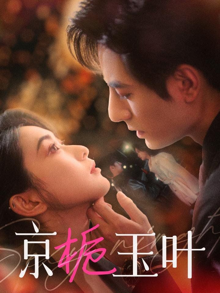 京栀玉叶第1-20集