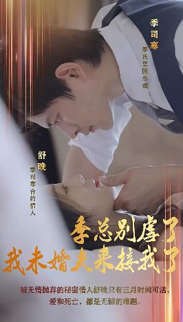 季总别虐了，我未婚夫来接我了第81-100集完结(大结局)