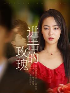 进击的玫瑰第1-20集