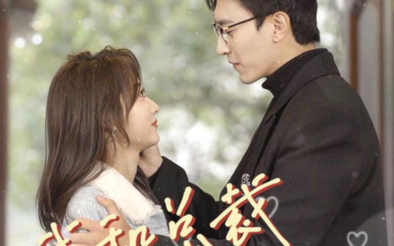 我和总裁互相装穷第41-60集