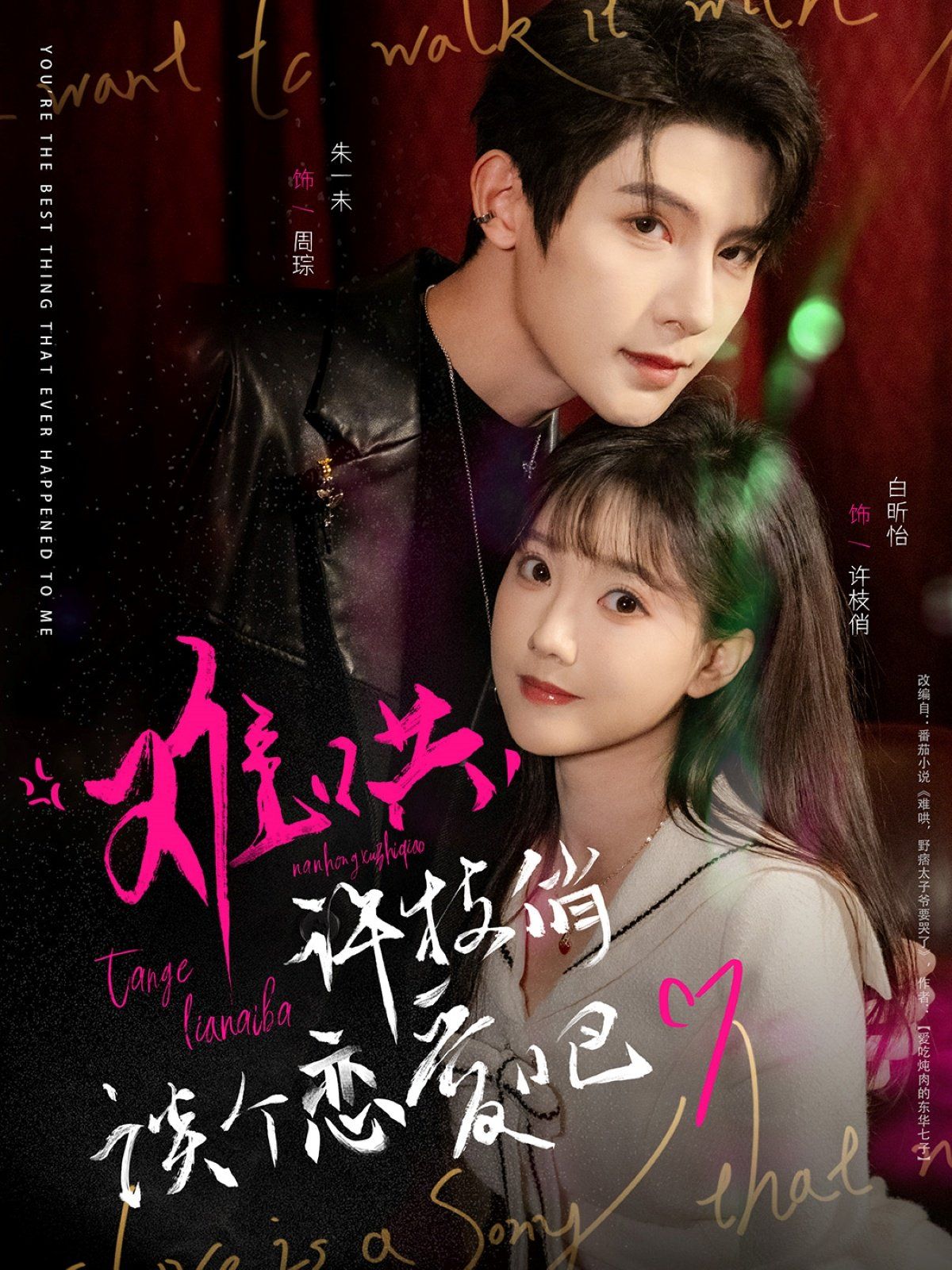 难哄许枝俏谈个恋爱吧第41-60集