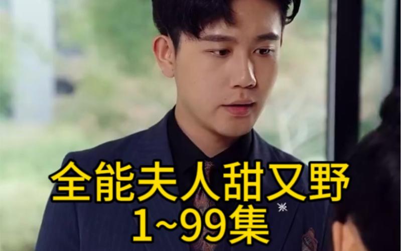 全能夫人甜又野第1-30集