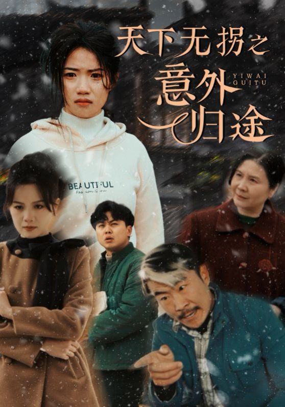 天下无拐之意外归途第31-61集完结(大结局)