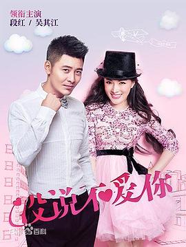 没说不爱你第4集