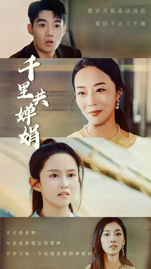 千里共婵娟第1-20集