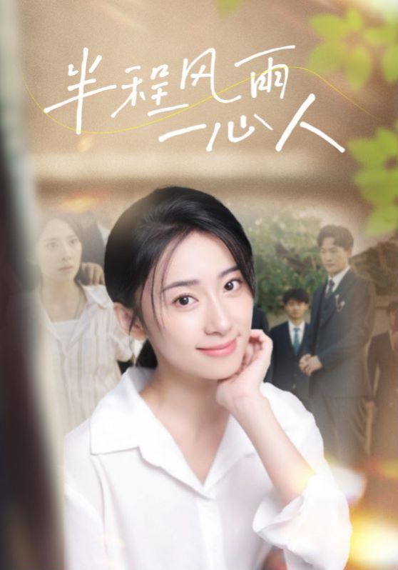 半程风雨一心人第1-20集