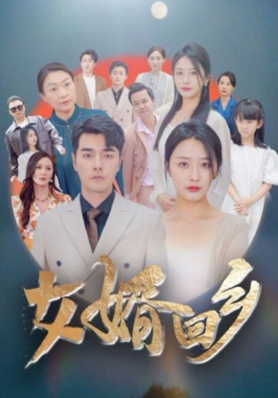 女婿回乡第21-40集