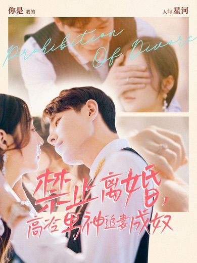 禁止离婚，高冷男神追妻成奴第21-40集