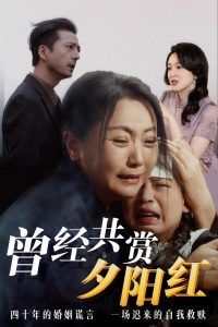 曾经共赏夕阳红第1-20集