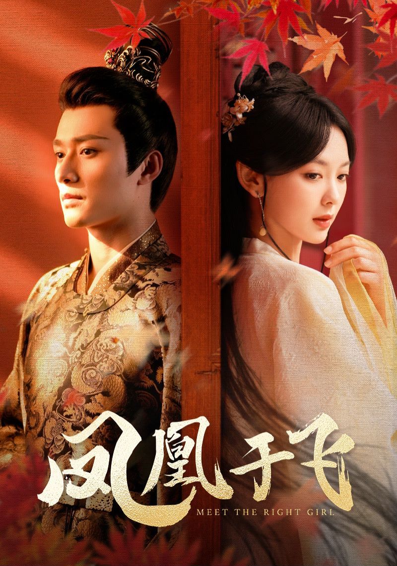 凤凰于飞第1-20集