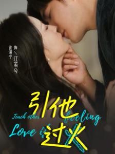 引他过火第21-40集完结(大结局)