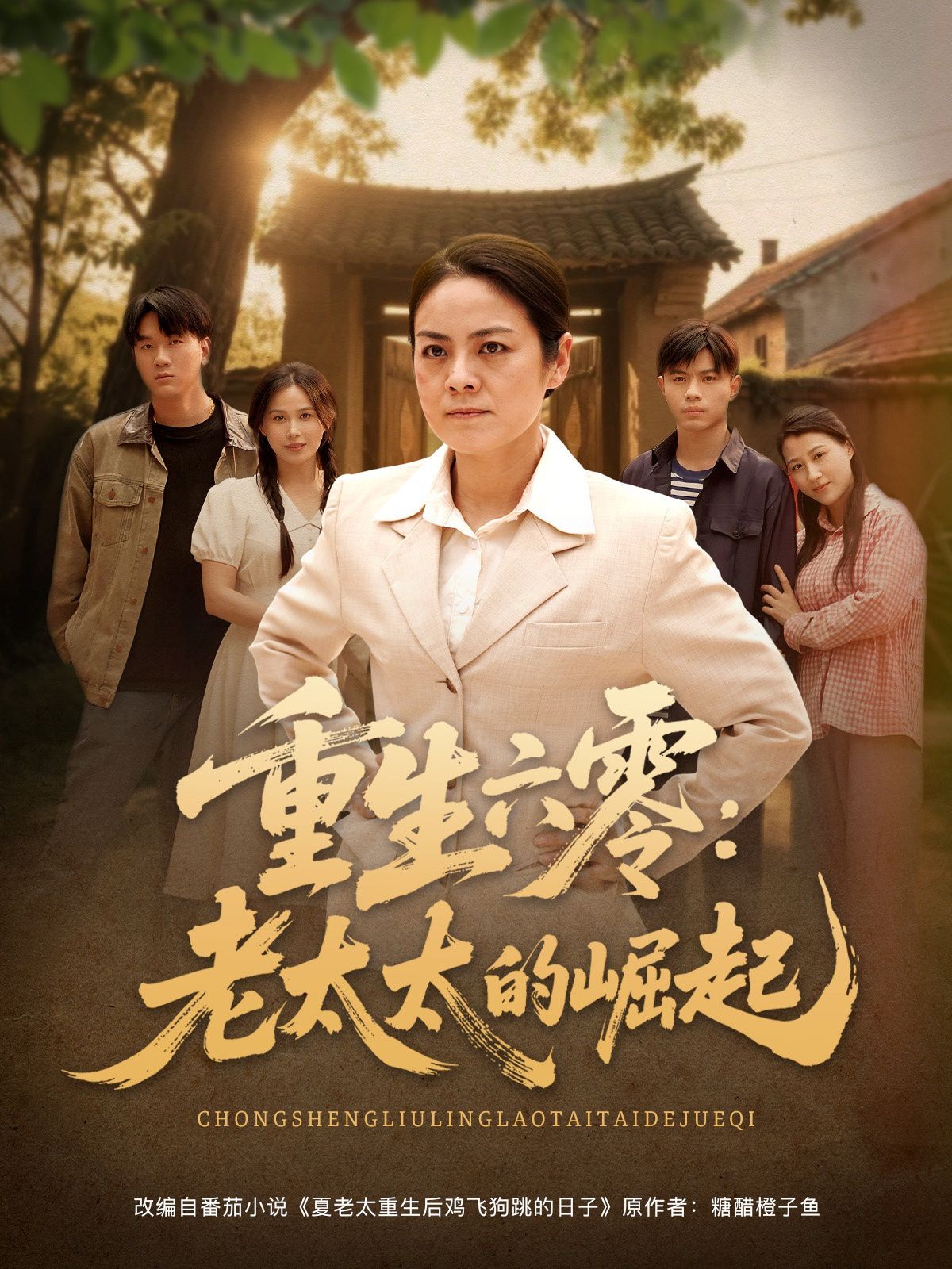 重生六零：老太太的崛起第31-60集