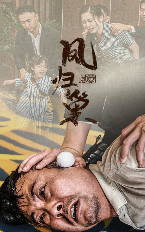 新版：凤归巢第41-60集