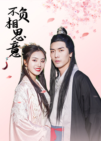 不负相思意第2集