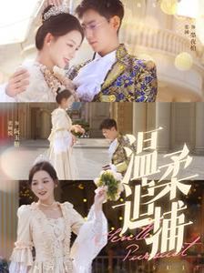 温柔追捕第21-40集