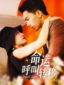 命运呼叫转移第21-40集