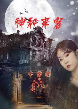 神秘来客第12集