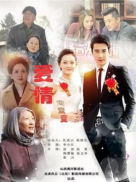 爱情变变变第12集