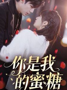 你是我的蜜糖第41-64集完结(大结局)