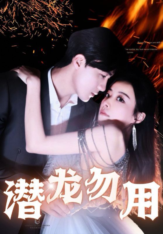 潜龙勿用第1-20集