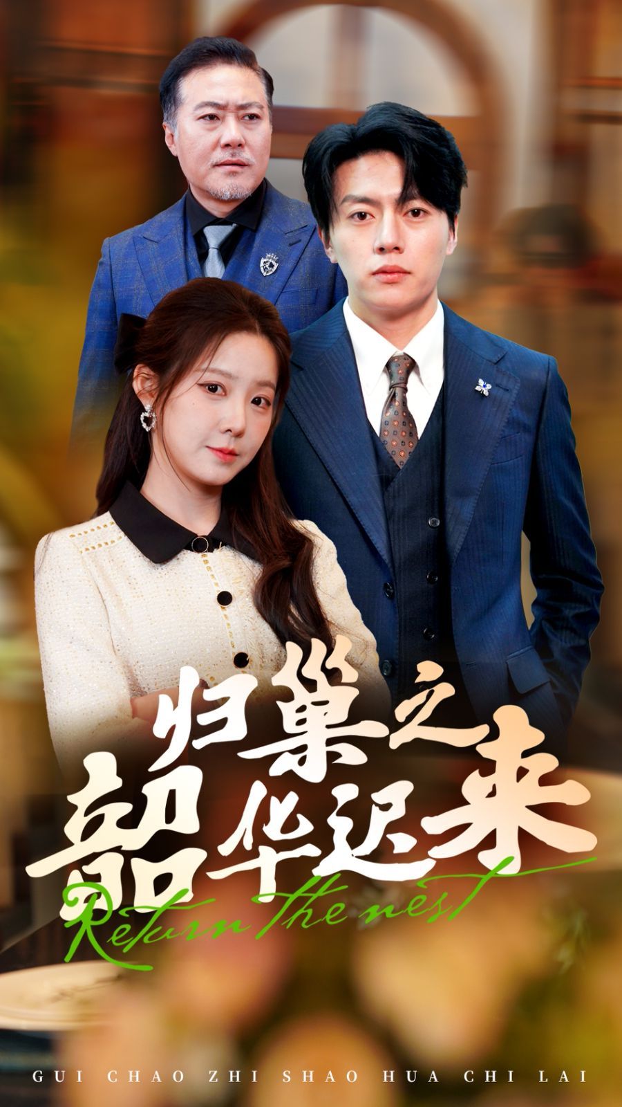 归巢之韶华迟来第31-62集完结(大结局)