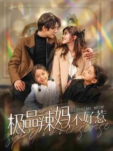 极品辣妈不好惹第1-30集