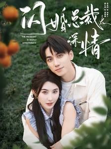 闪婚总裁太深情第21-40集