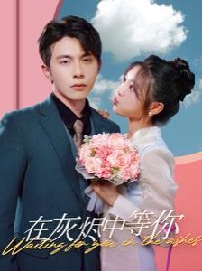 在灰烬中等你第41-60集