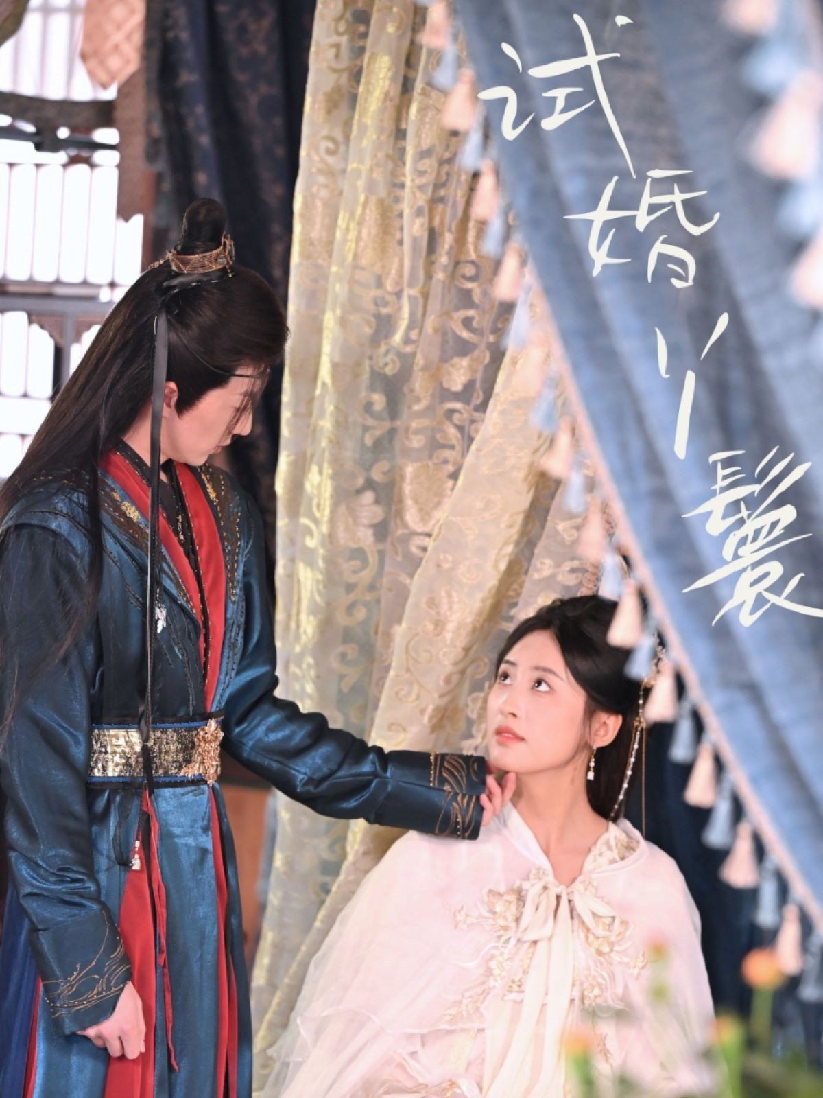 试婚丫鬟第1-20集