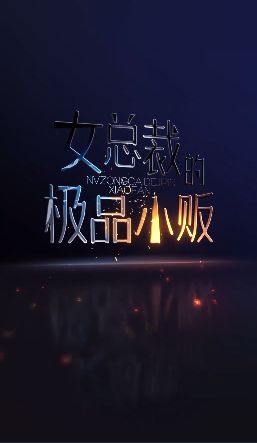 女总裁的极品小贩第1-20集