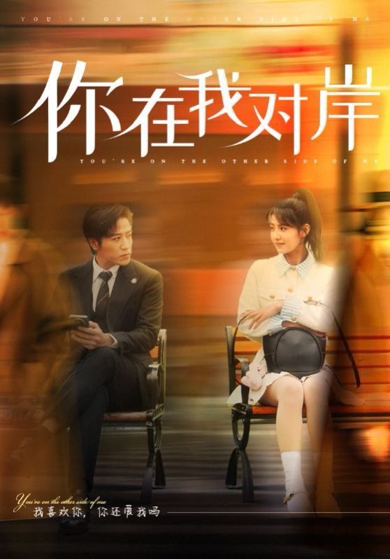 你在我对岸第21-31集完结(大结局)