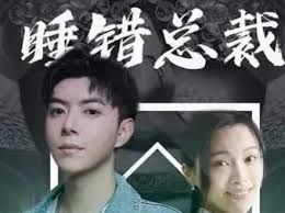 睡错总裁狂宠妻第21-40集