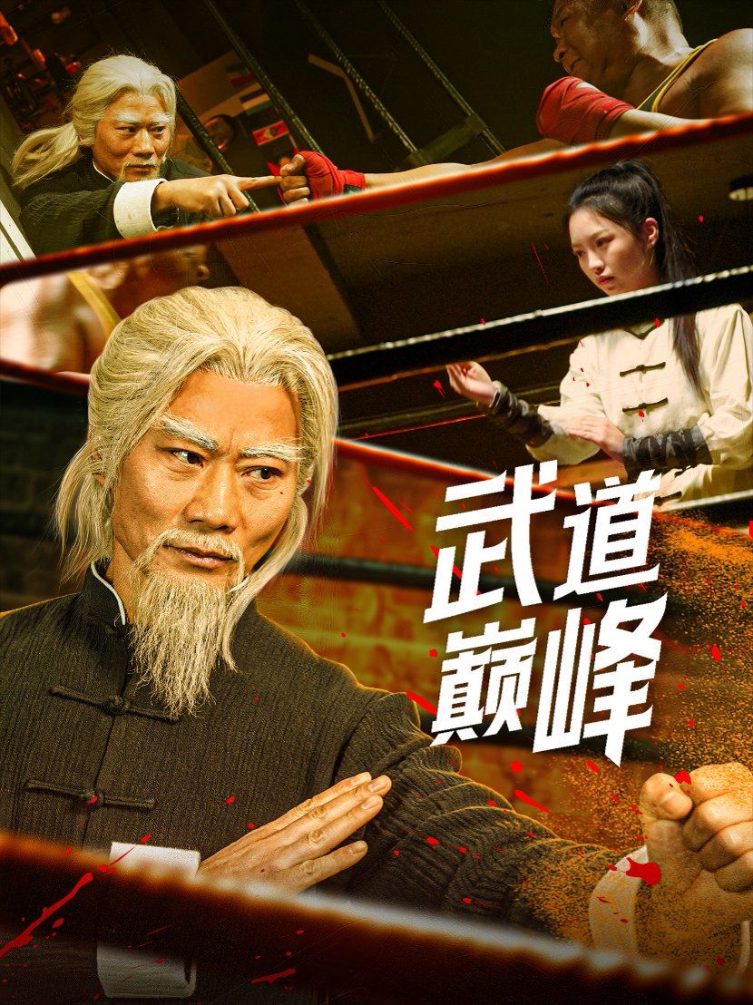 武道巅峰第1-20集