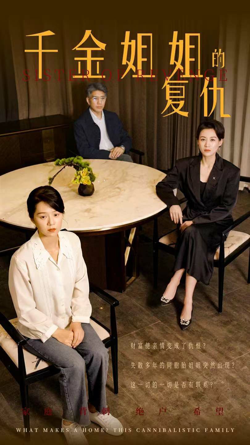 千金姐姐的复仇第21-40集