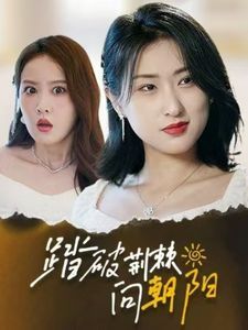 踏破荆棘向朝阳第1-20集