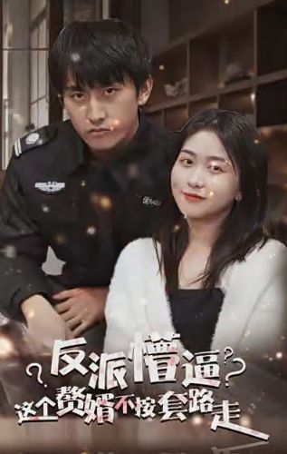 狂医废婿第1-20集