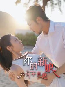 你的新娘为何不是我第21-40集