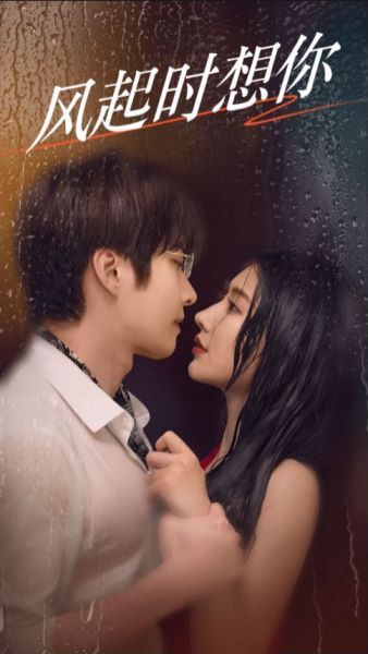 风起时想你第21-40集