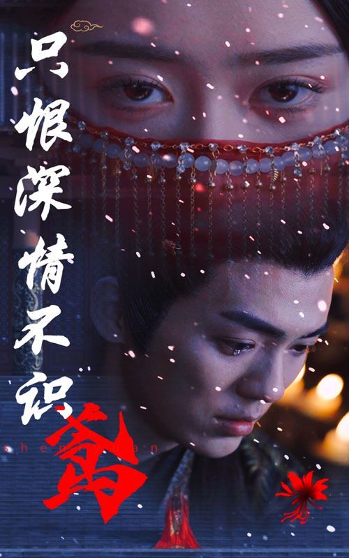 只恨深情不识鸢第1-20集