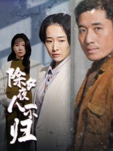 除夕夜人不归第21-47集完结(大结局)