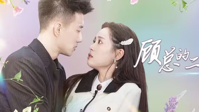 顾总的二婚娇妻第21-40集