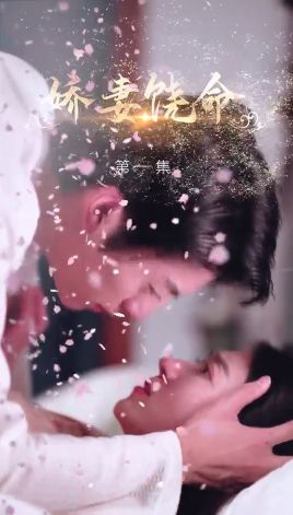 娇妻饶命第41-60集