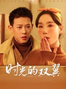 时光的双翼第21-40集
