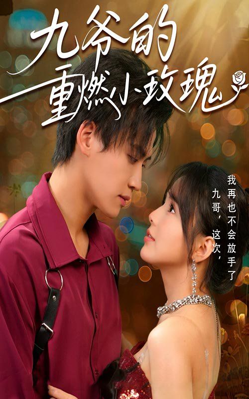 九爷的重燃小玫瑰第1-30集