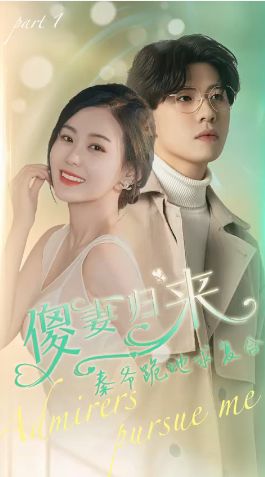 傻妻归来秦爷跪地求复合第21-40集