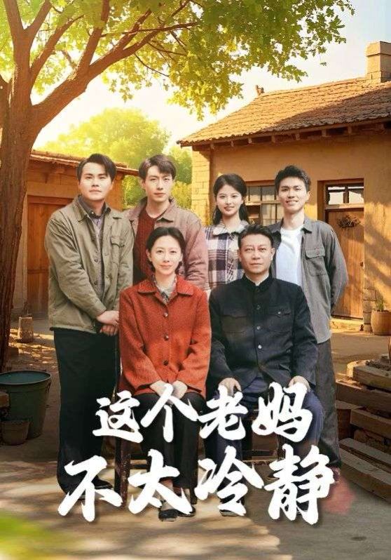 这个老妈不太冷静第21-40集