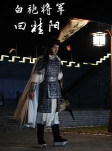 白袍将军回桂阳第1-20集