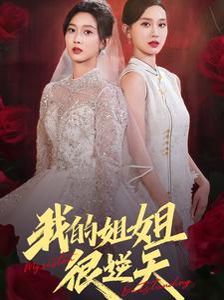 我的姐姐很逆天第21-40集