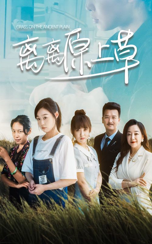 离离原上草第1-20集